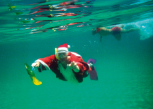2004 ...und wo soll Ihre Veranstaltung stattfinden? Weihnachtskarte Underwater